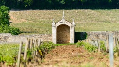 Clos Saint Jacques a missed Grand Cru