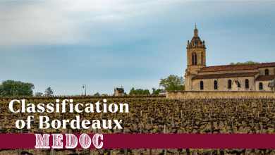 Under The Radar Wines in Bordeaux Worth Your Attention