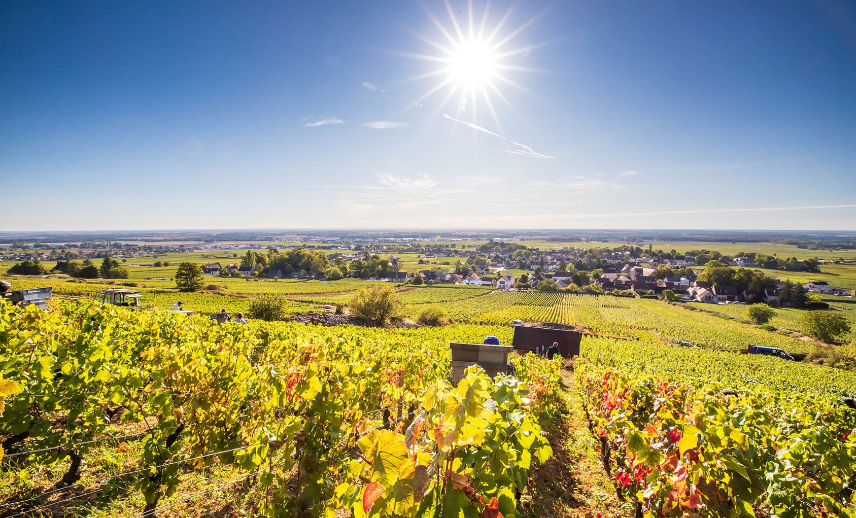 Introduction to Burgundy’s wine classification: A legacy of 1855