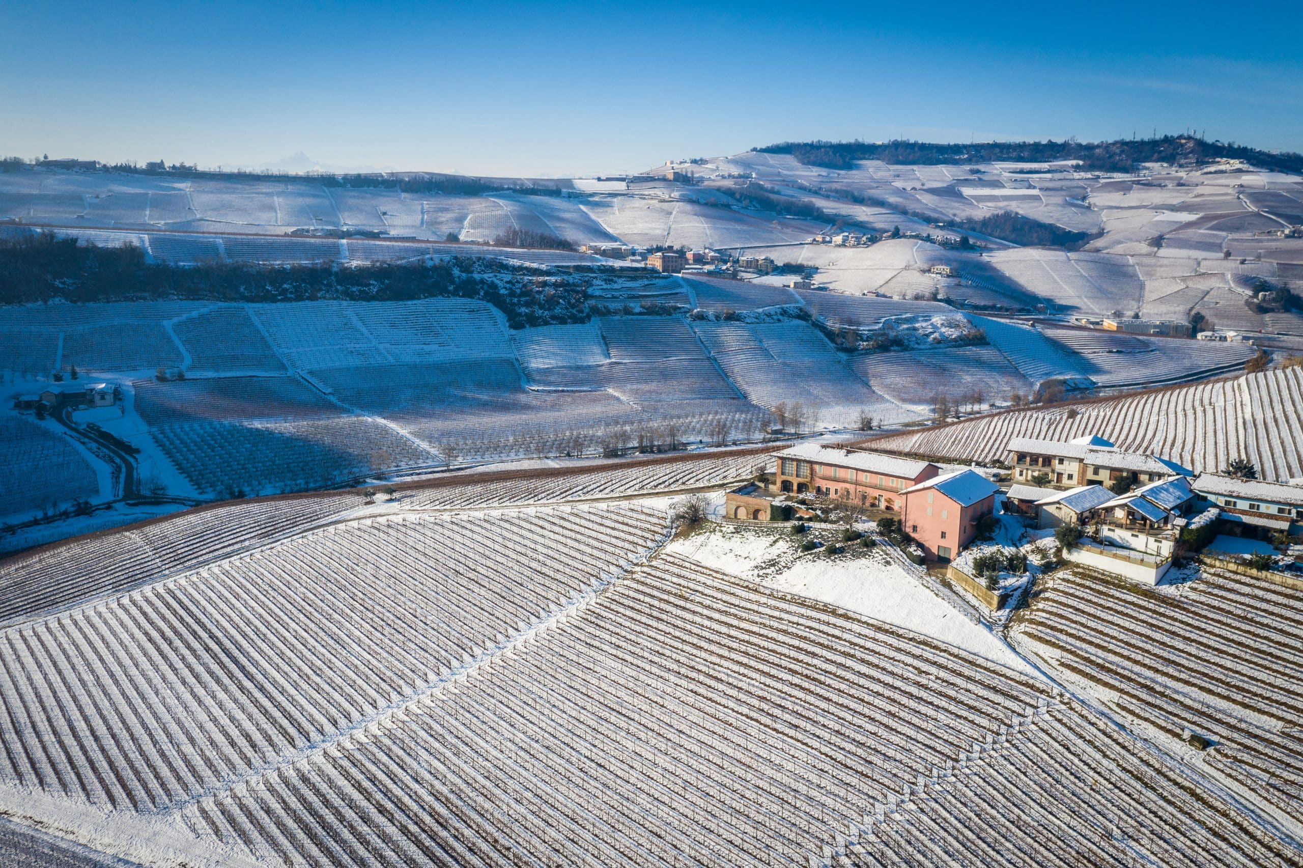 the vineyards of Barolo