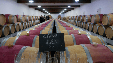 Decoding Bordeaux 2023: making sense of the vintage